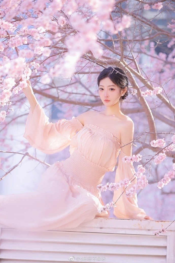 小偷家族